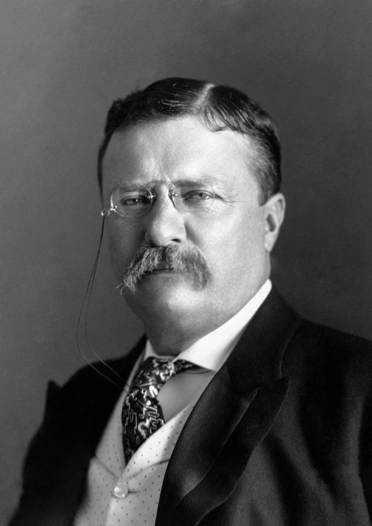 Quotes from Theodore Roosevelt Theodore Roosevelt