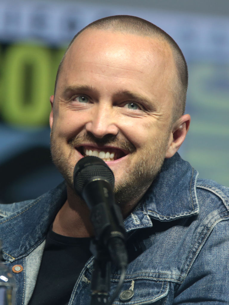 Quotes from Aaron Paul Aaron Paul