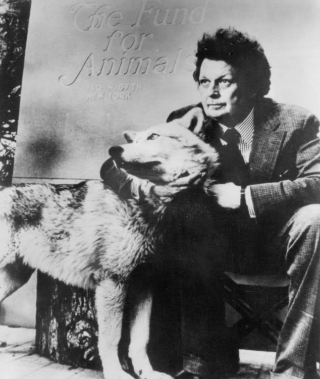 Jesse jackson doris innis essay 02 image