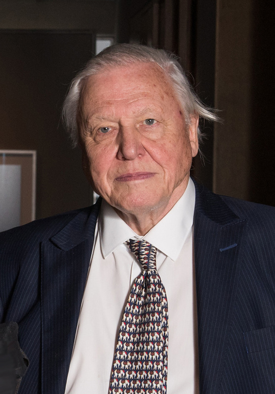 Quotes from David Attenborough David Attenborough