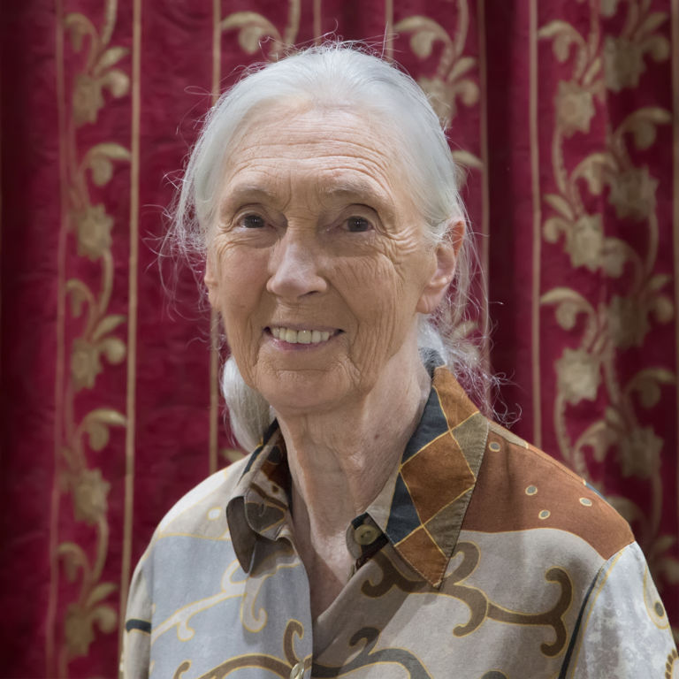 Quotes from Jane Goodall Jane Goodall