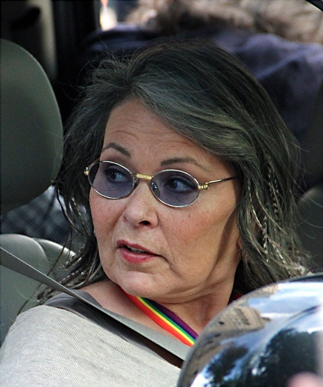 Quotes from Roseanne Barr Roseanne Barr