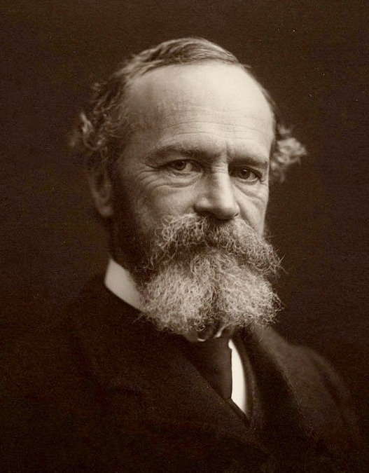 Quotes from William James William James