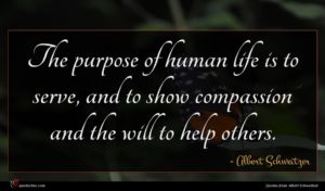 Albert Schweitzer quote : The purpose of human ...