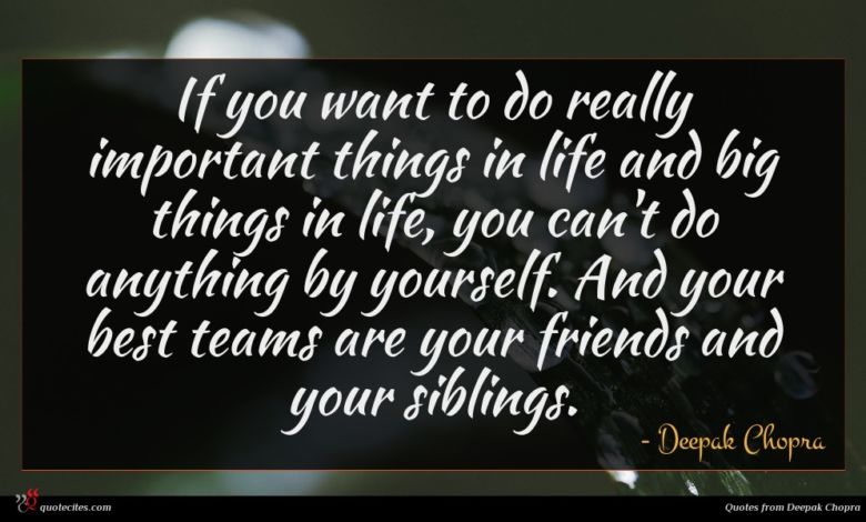 If you want to do really important things in life and big things in life, you can't do anything by yourself. And your best teams are your friends and your siblings.