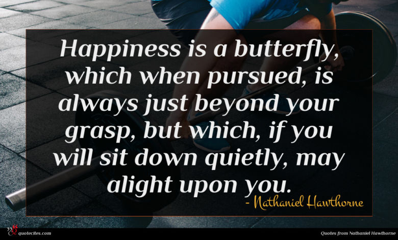 Happiness is a butterfly, which when pursued, is always just beyond your grasp, but which, if you will sit down quietly, may alight upon you.