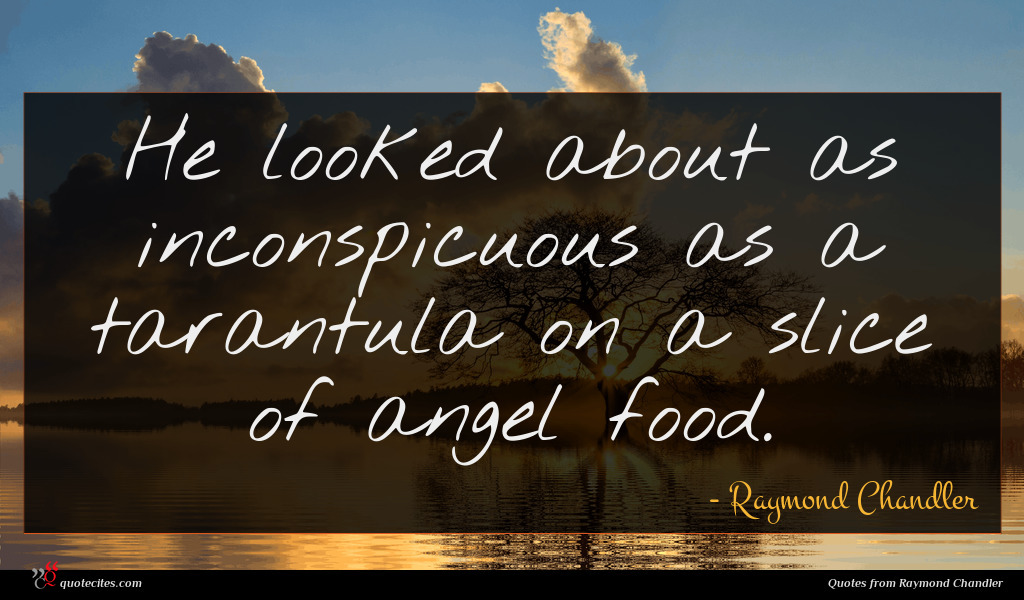 Raymond Chandler Quote He Looked About As