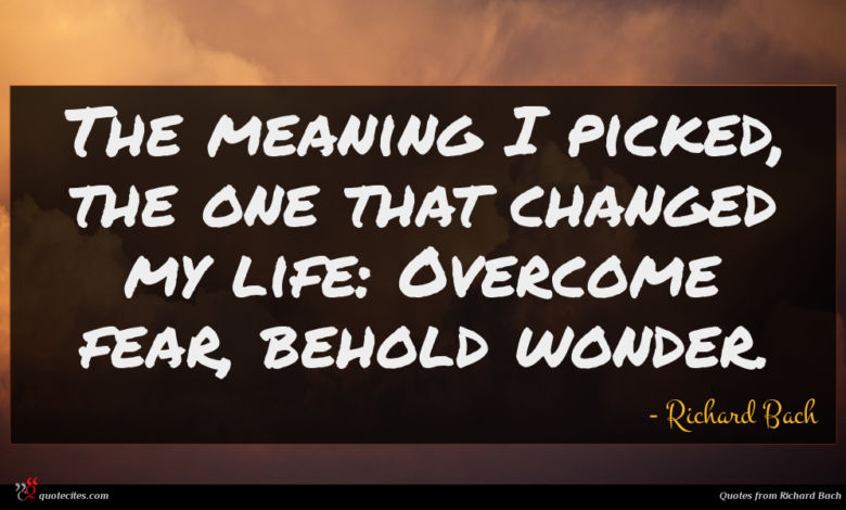 The meaning I picked, the one that changed my life: Overcome fear, behold wonder.
