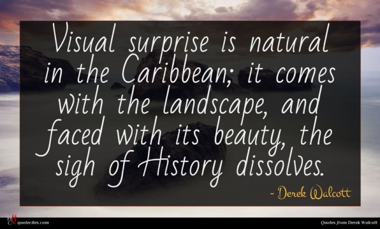 Visual surprise is natural in the Caribbean; it comes with the landscape, and faced with its beauty, the sigh of History dissolves.