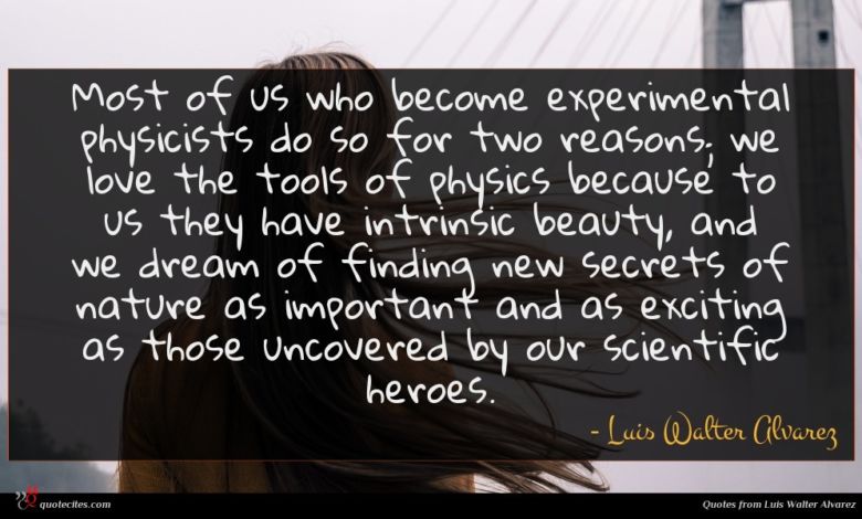 Most of us who become experimental physicists do so for two reasons; we love the tools of physics because to us they have intrinsic beauty, and we dream of finding new secrets of nature as important and as exciting as those uncovered by our scientific heroes.