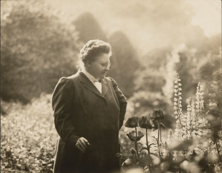 Quotes from Amy Lowell Amy Lowell