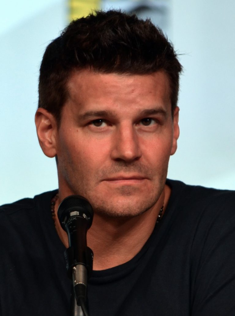 Quotes from David Boreanaz David Boreanaz
