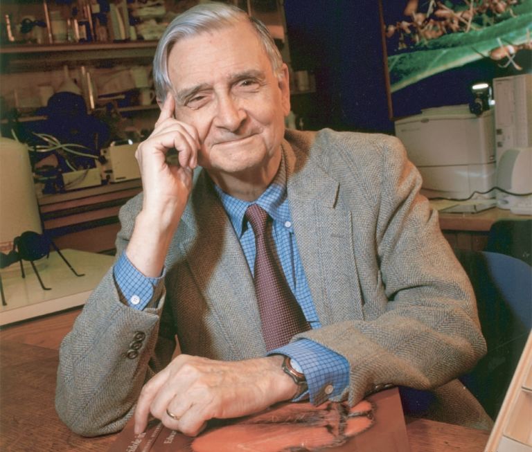 Quotes from E. O. Wilson E. O. Wilson