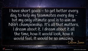 LeBron James quote : I have short goals ...