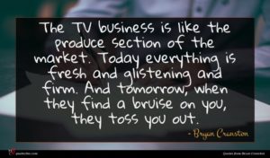 Bryan Cranston quote : The TV business is ...