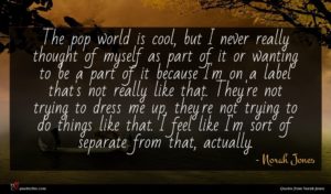 Norah Jones quote : The pop world is ...
