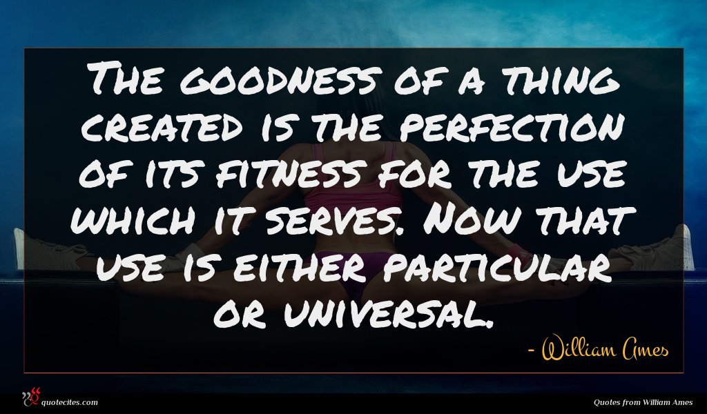 The goodness of a thing created is the perfection of its fitness for the use which it serves. Now that use is either particular or universal.