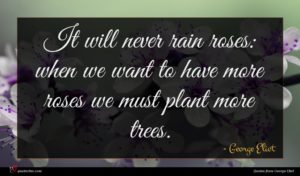 George Eliot quote : It will never rain ...
