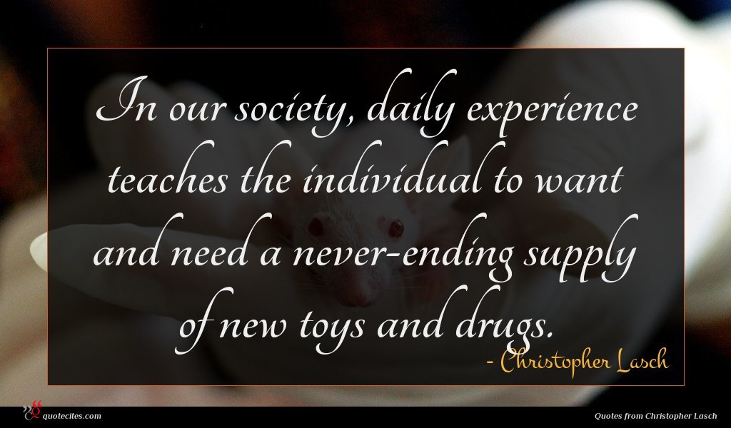 In our society, daily experience teaches the individual to want and need a never-ending supply of new toys and drugs.