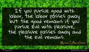 Marcus Tullius Cicero quote : If you pursue good ...